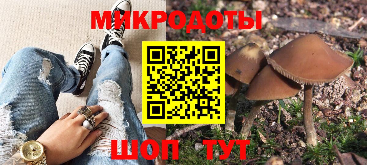 Псилоцибиновые грибы мухоморы Чебаркуль