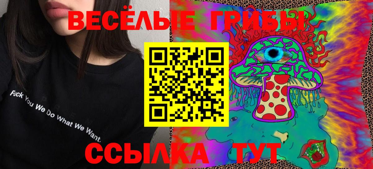 Псилоцибиновые грибы Cubensis  Вход с VPN  Чебаркуль 